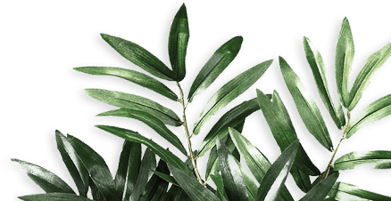 green grass strip